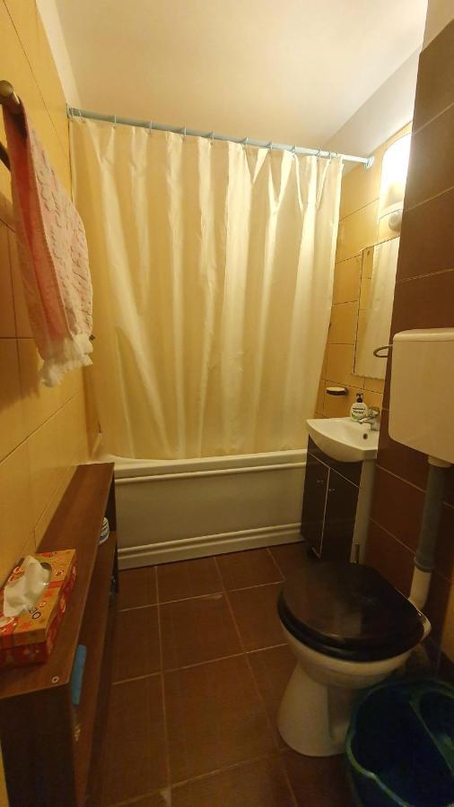 Studio Prisaca Dornei بوخارست المظهر الخارجي الصورة
